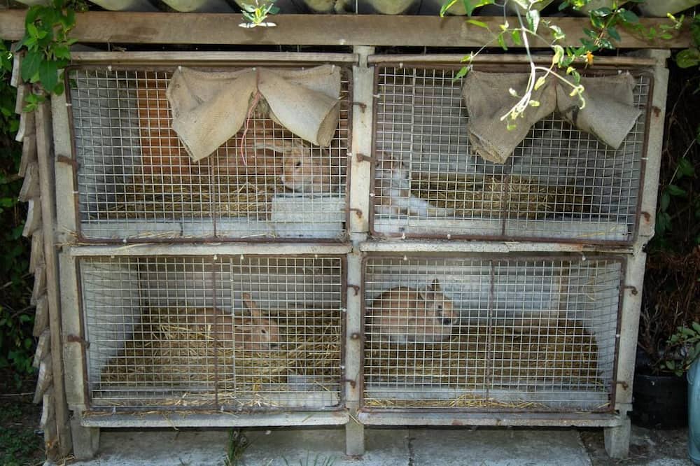 Photo of Others in Saint-Ouen-sous-Bailly