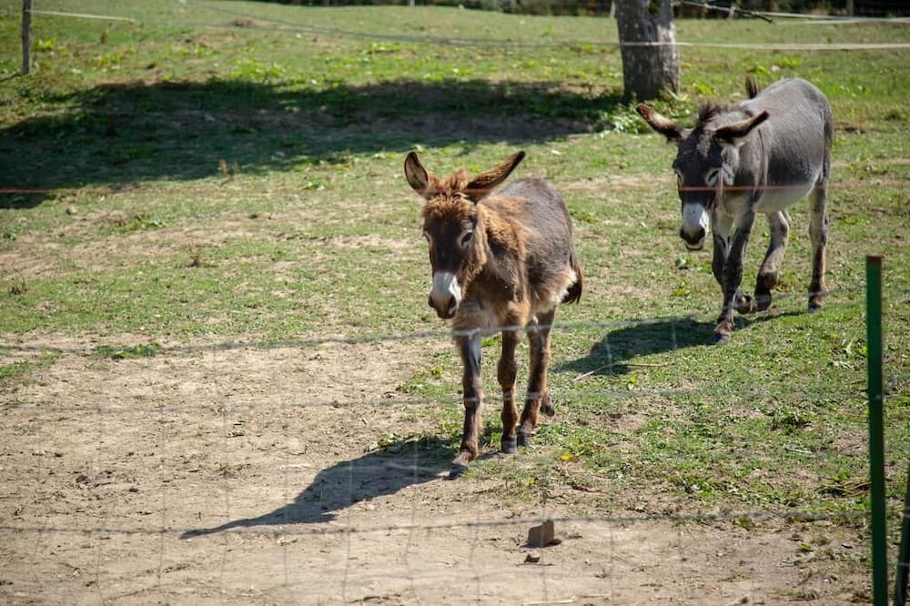 Photo of Outdoor in Saint-Ouen-sous-Bailly
