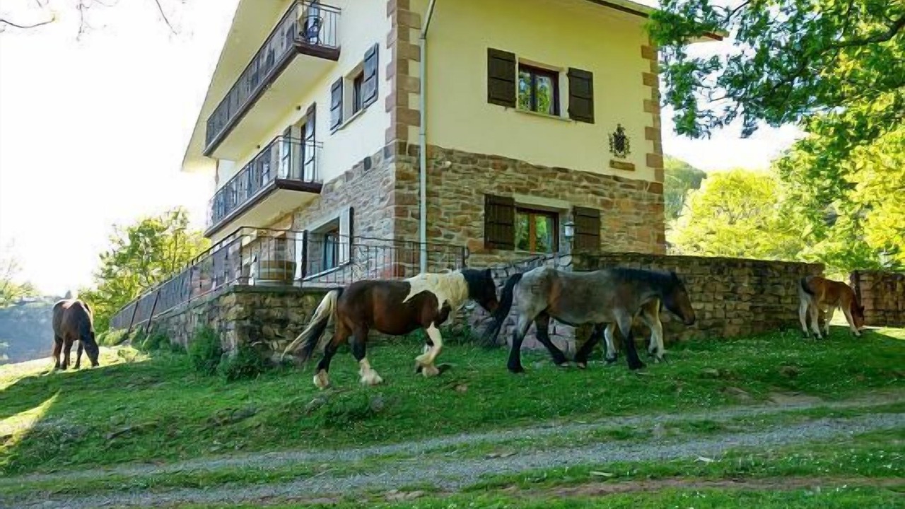 Photo of Outdoor in Elbete