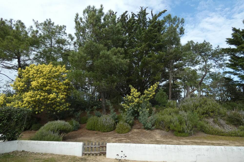 Photo of Outdoor in Notre-Dame-de-Monts