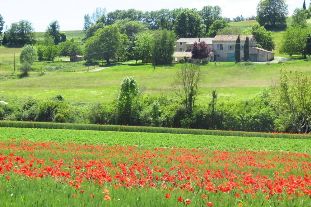 Photo of Outdoor in Forcalquier