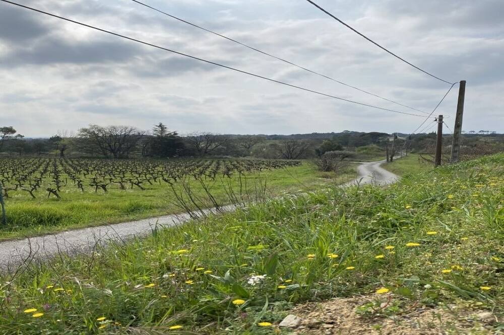 Photo of Outdoor in Massillargues-Attuech