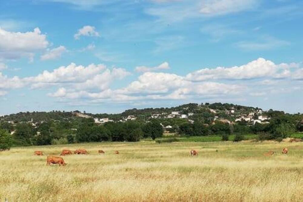 Photo of Outdoor in Massillargues-Attuech