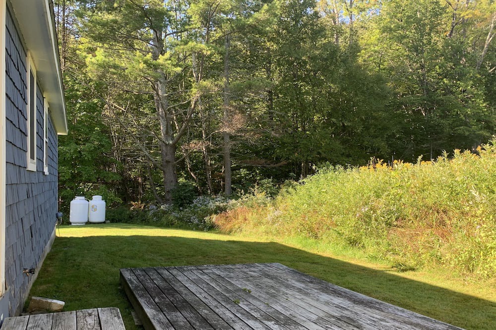 Photo of Outdoor in Weston