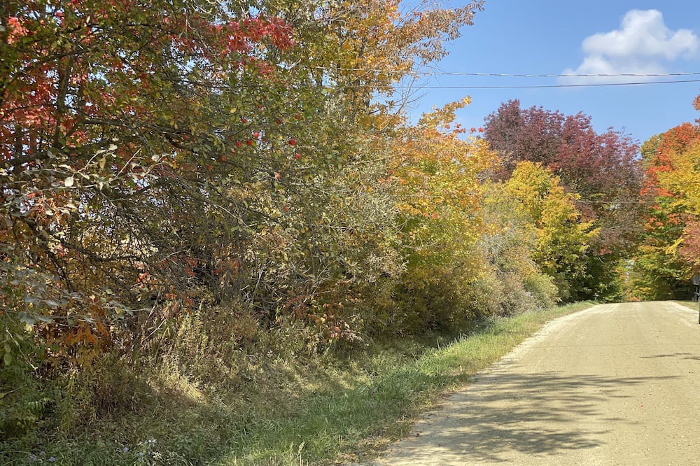 Photo of Outdoor in Weston