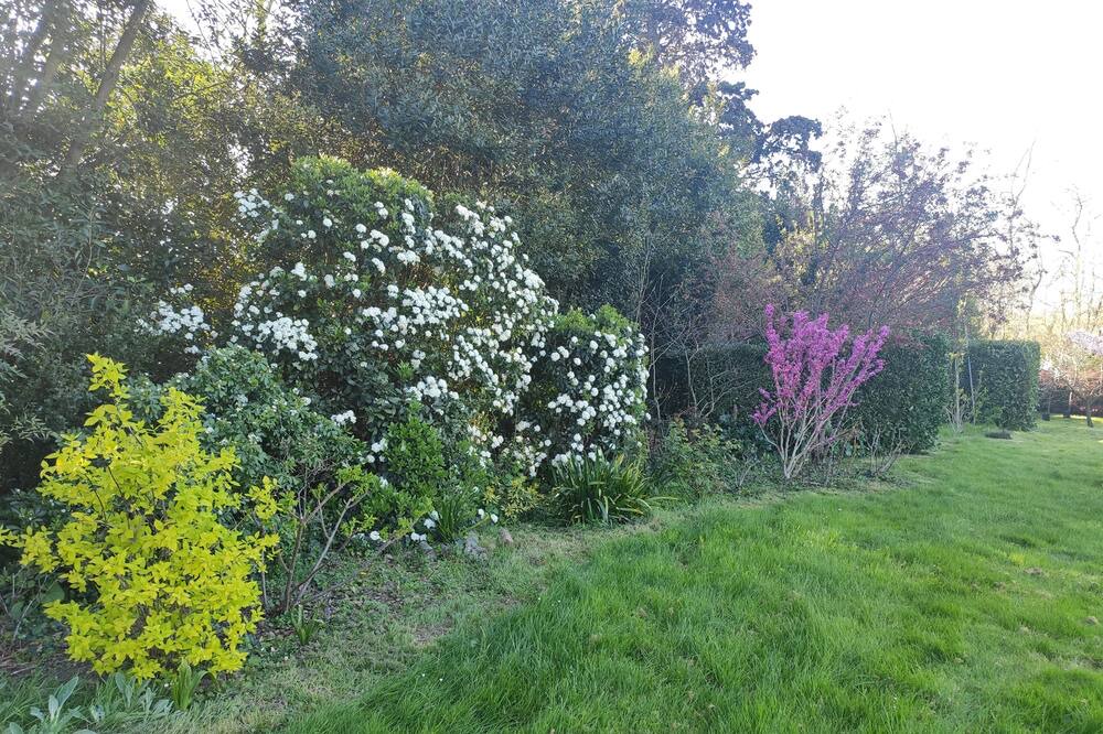 Photo of Outdoor in Aigrefeuille