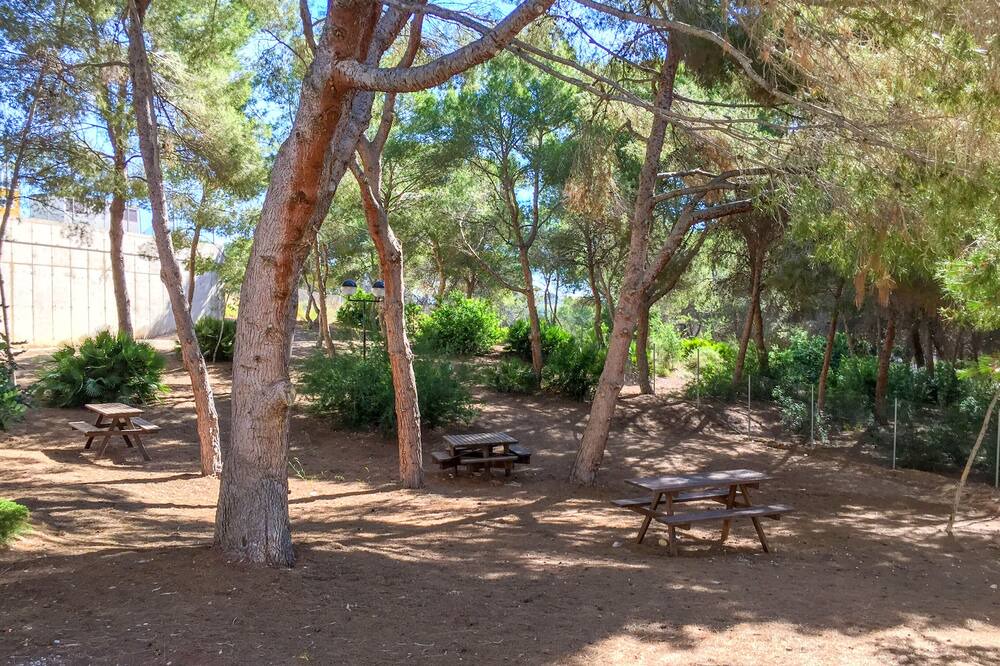 Photo of Outdoor in Dehesa de Campoamor