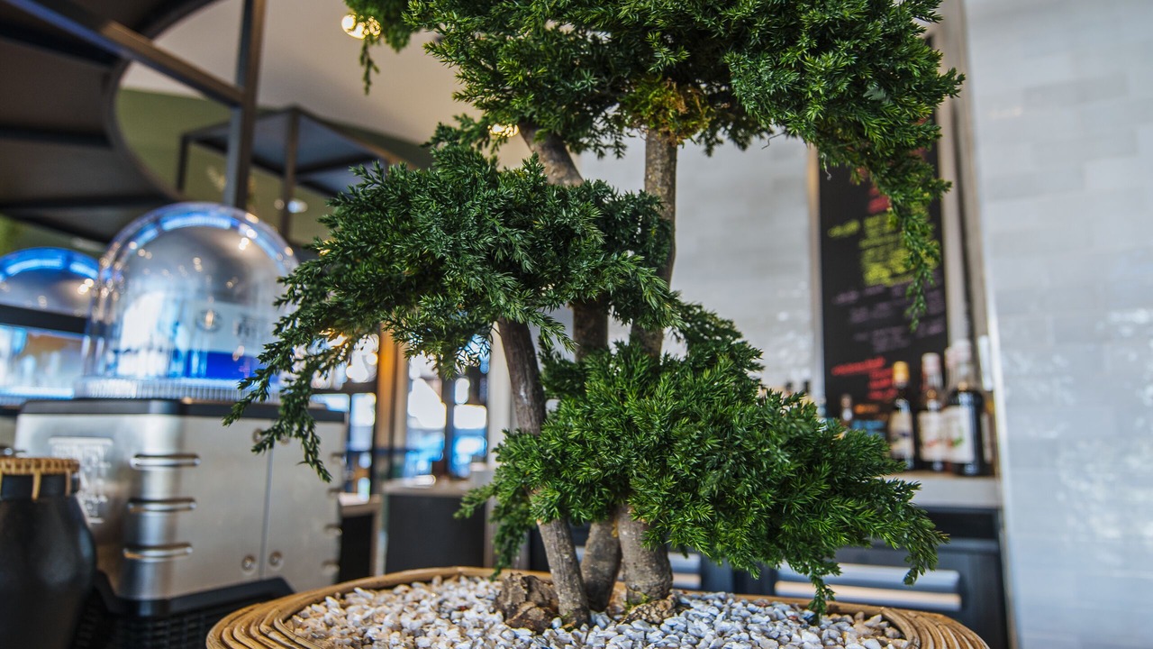 Photo of Others in Quartier Saint-Clement - Jardin des Plantes