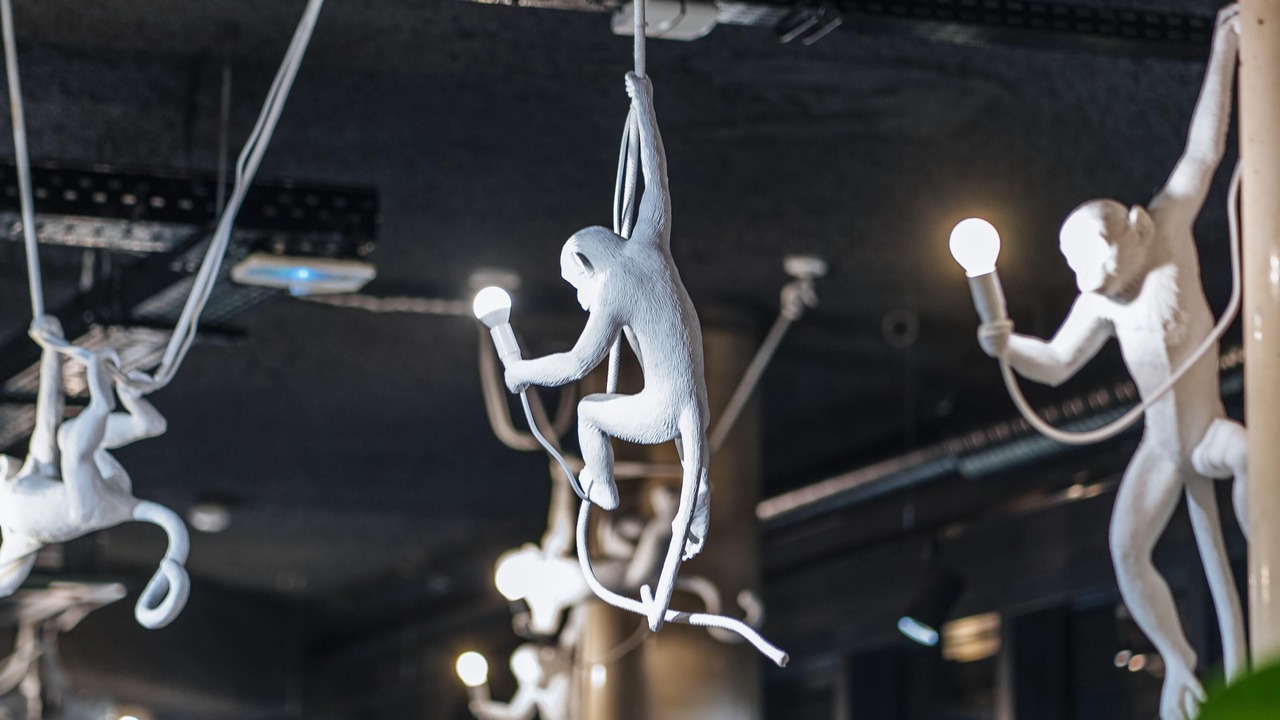 Photo of Outdoor in Quartier Saint-Clement - Jardin des Plantes