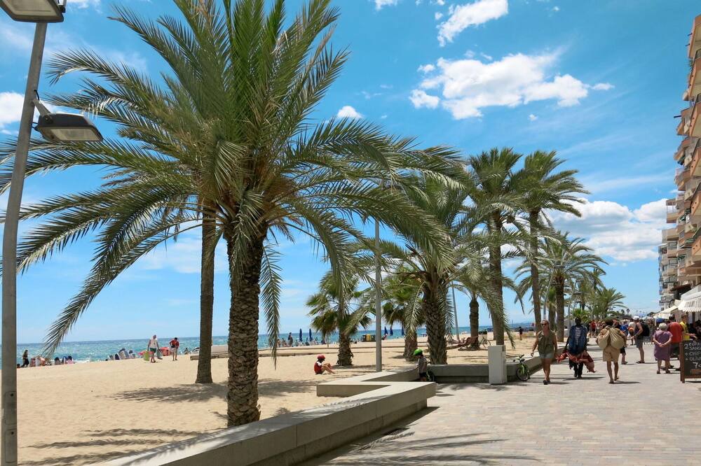 Photo of Others in Segur de Calafell