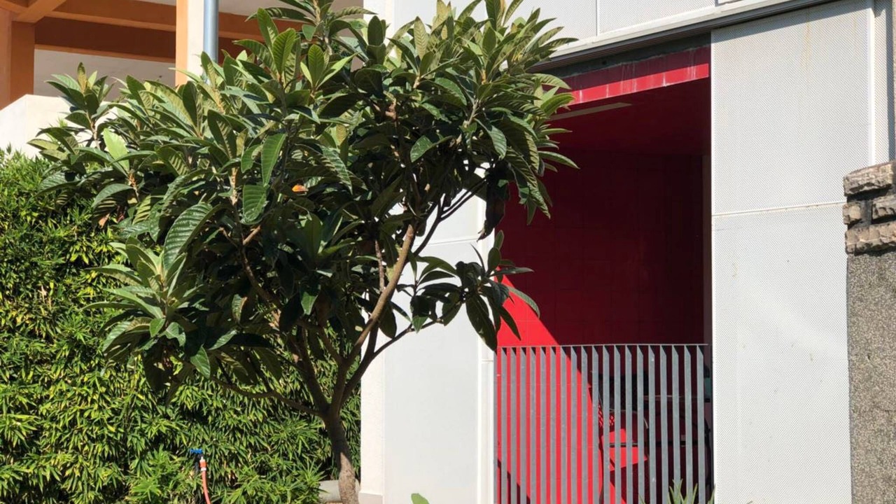 Photo of Patio Balcony in Pakostane