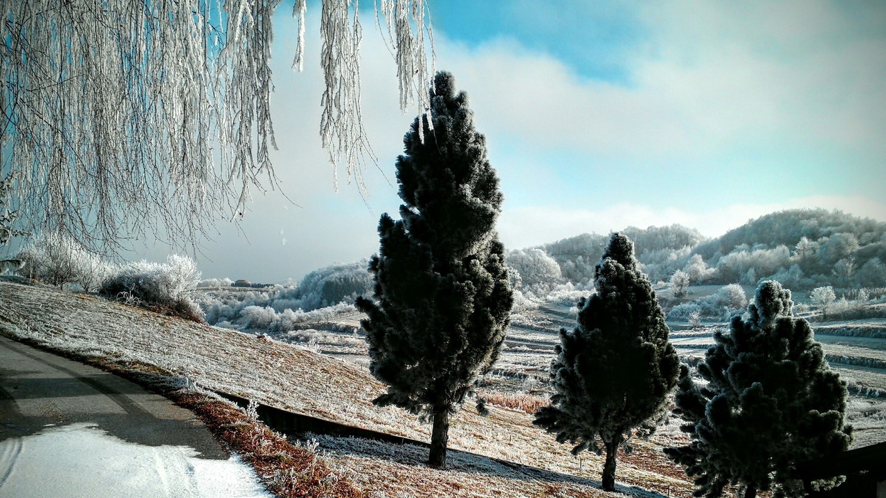 Photo of Outdoor in Samobor