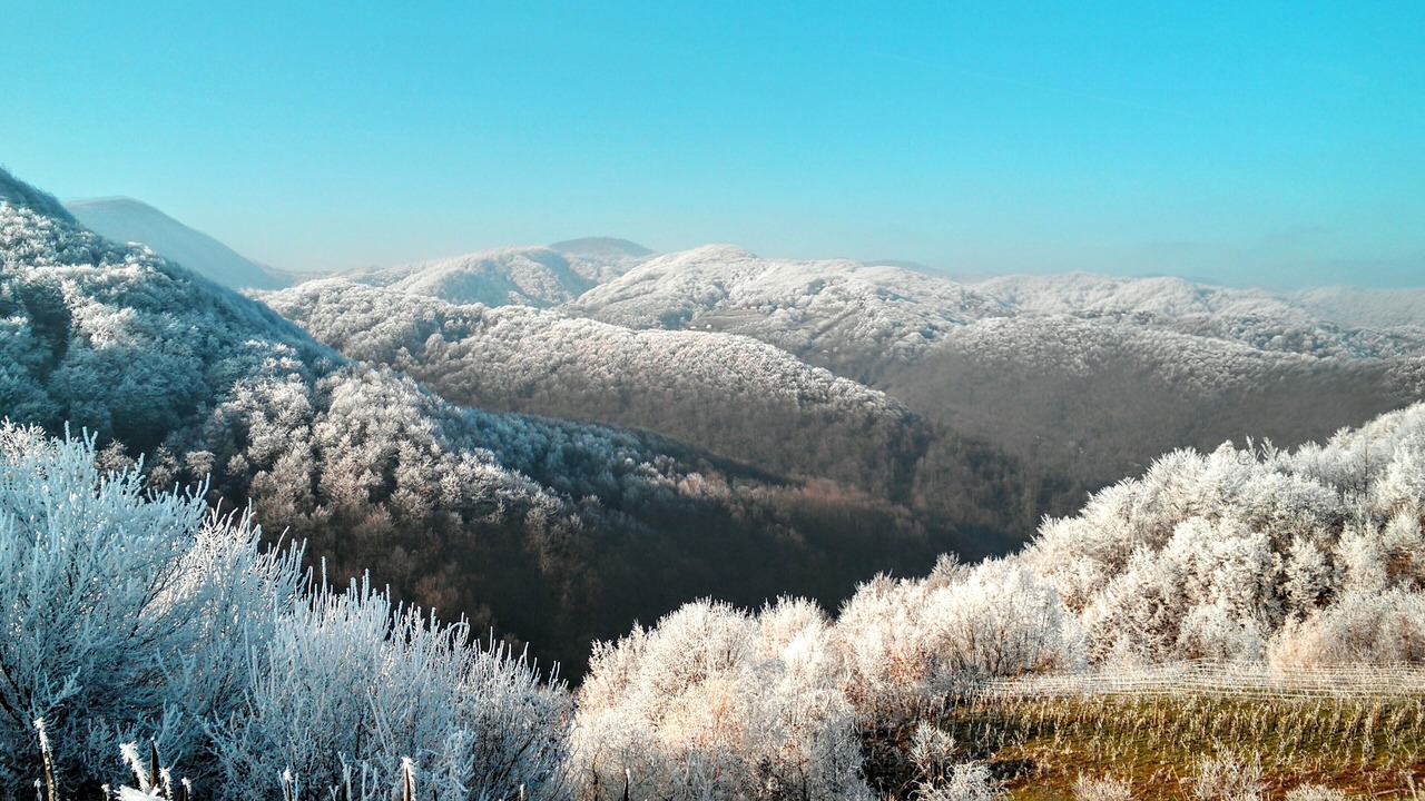 Photo of Outdoor in Samobor