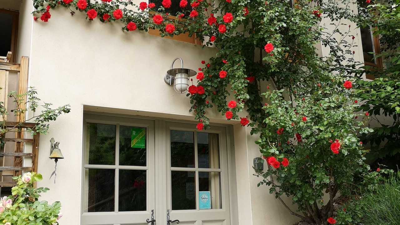 Photo of Outdoor in Landry