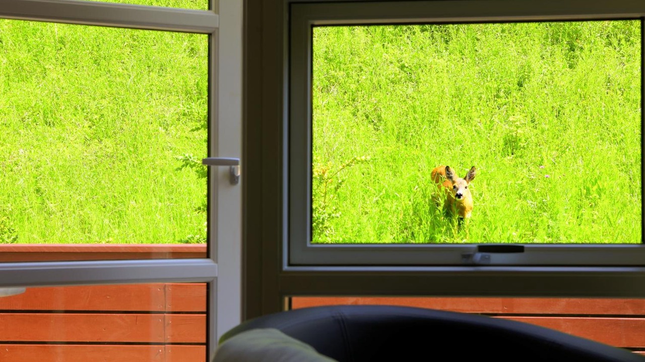 Photo of Others in Jyderup