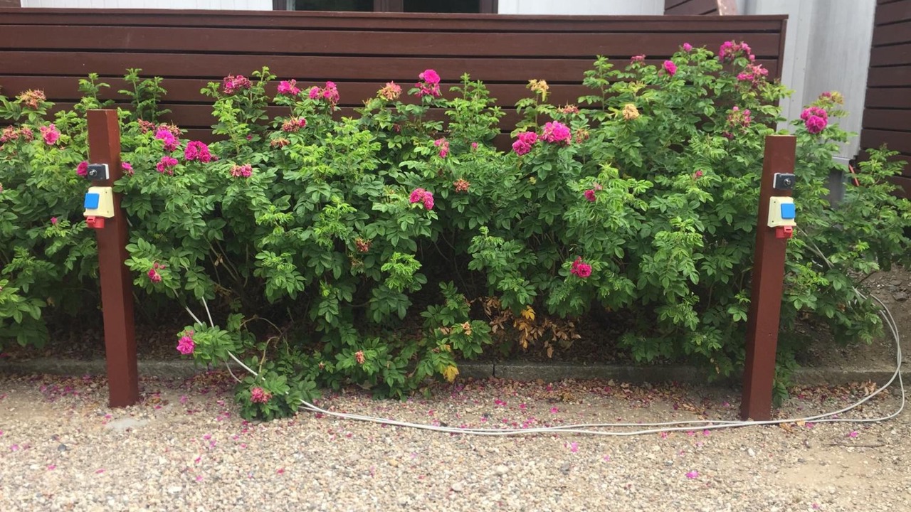 Photo of Outdoor in Jyderup