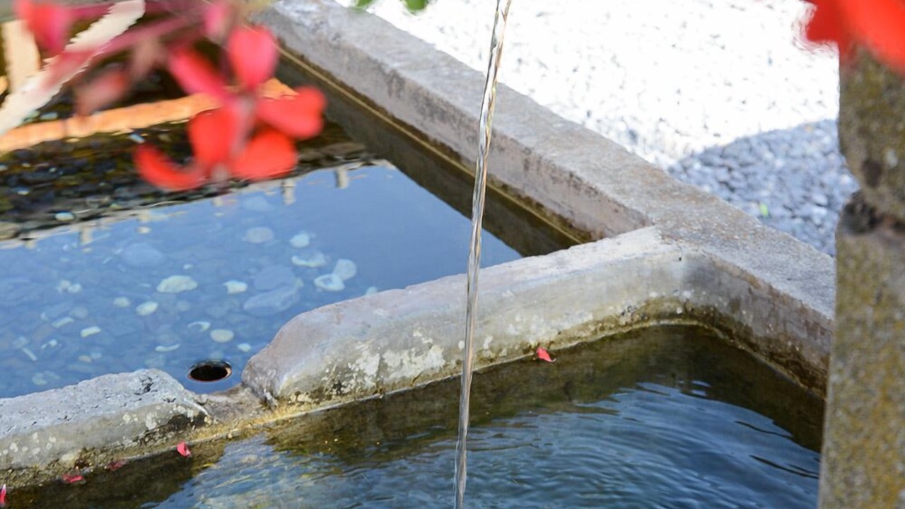 Photo of Outdoor in Morillon