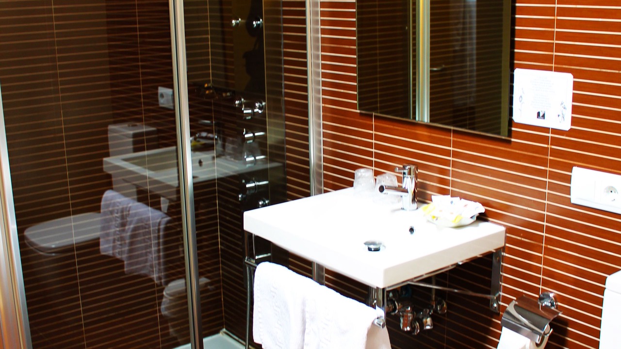 Photo of Bathroom in Burgos