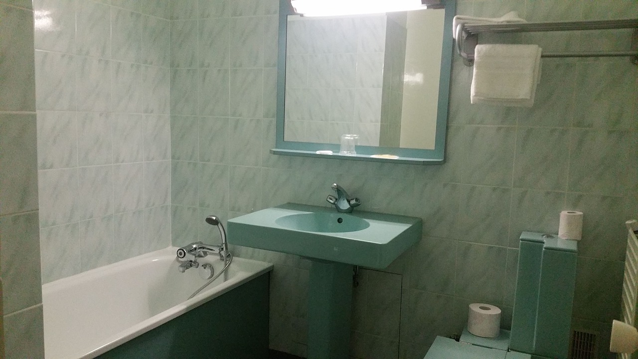 Photo of Bathroom in Saint-Jean-de-Braye