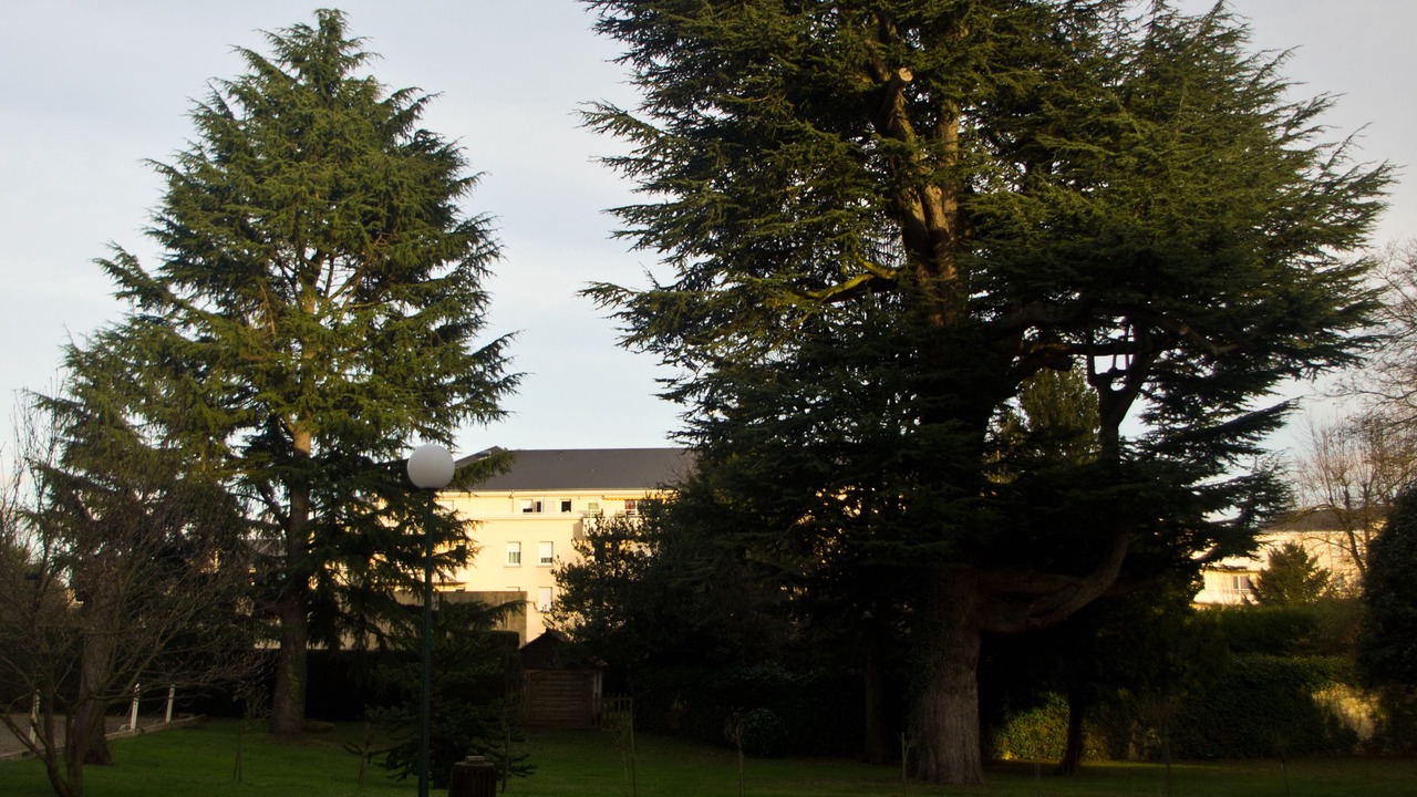 Photo of Outdoor in Saint-Jean-de-Braye