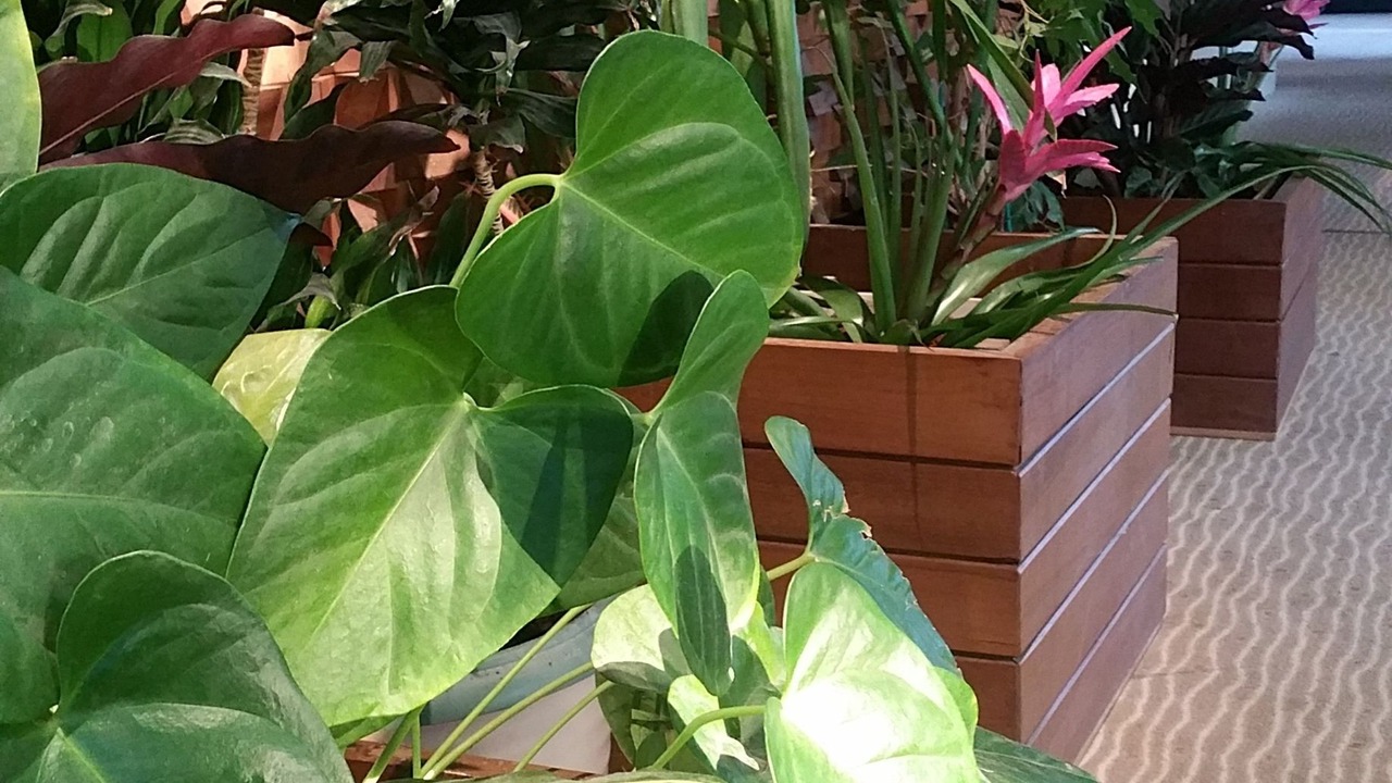 Photo of Others in Saint-Jean-de-Braye