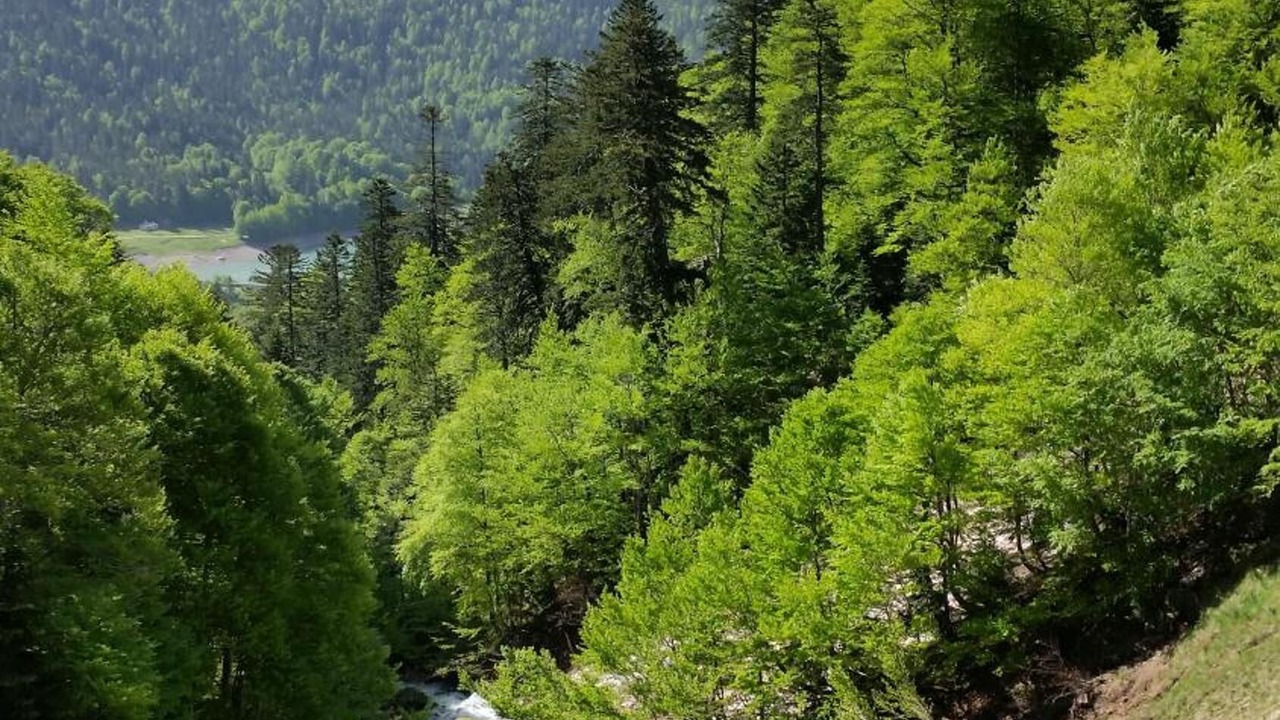 Photo of Outdoor in Bielle