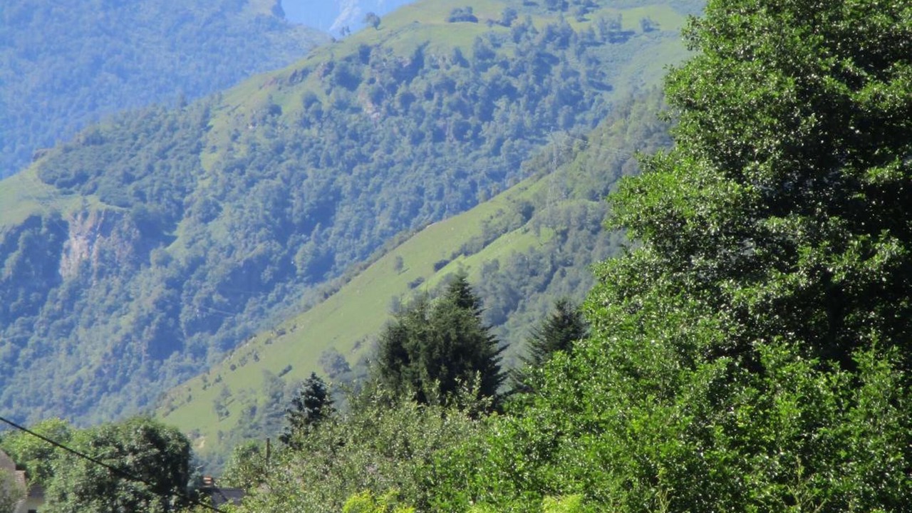 Photo of Outdoor in Bielle