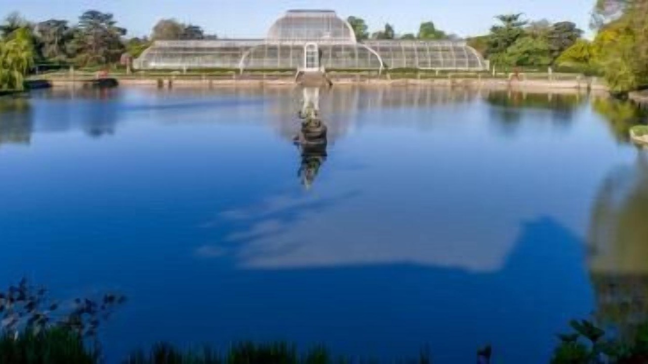 Photo of Others in St. Mark's