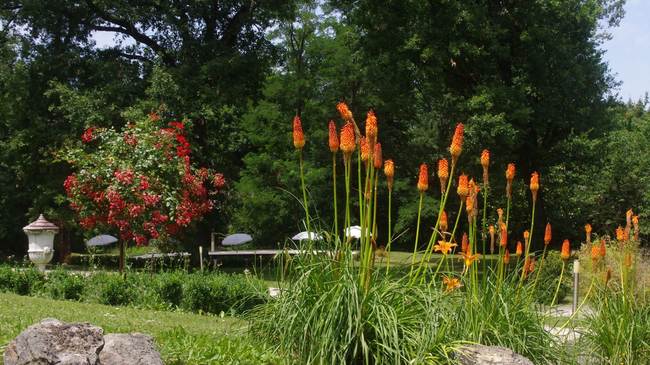 Photo of Outdoor in Bruniquel
