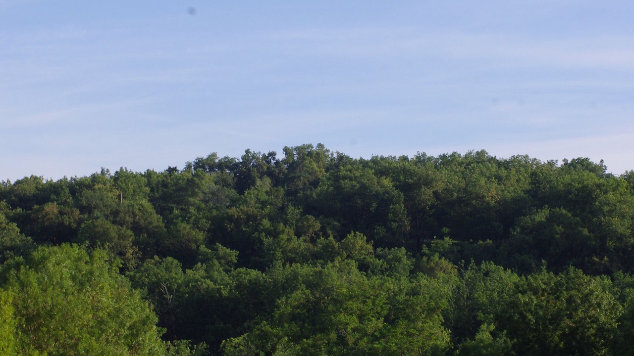 Photo of Outdoor in Bruniquel