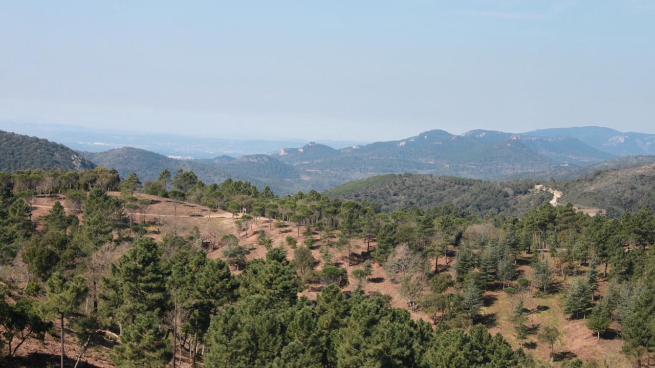 Photo of Outdoor in Les Adrets-de-l'Esterel
