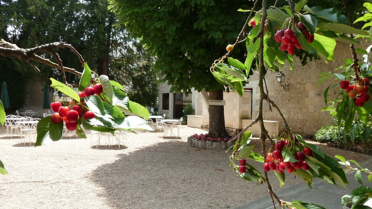 Photo of Patio Balcony in Azay-le-Rideau