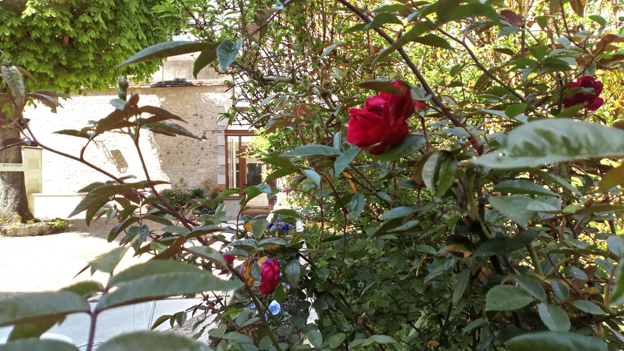 Photo of Outdoor in Azay-le-Rideau