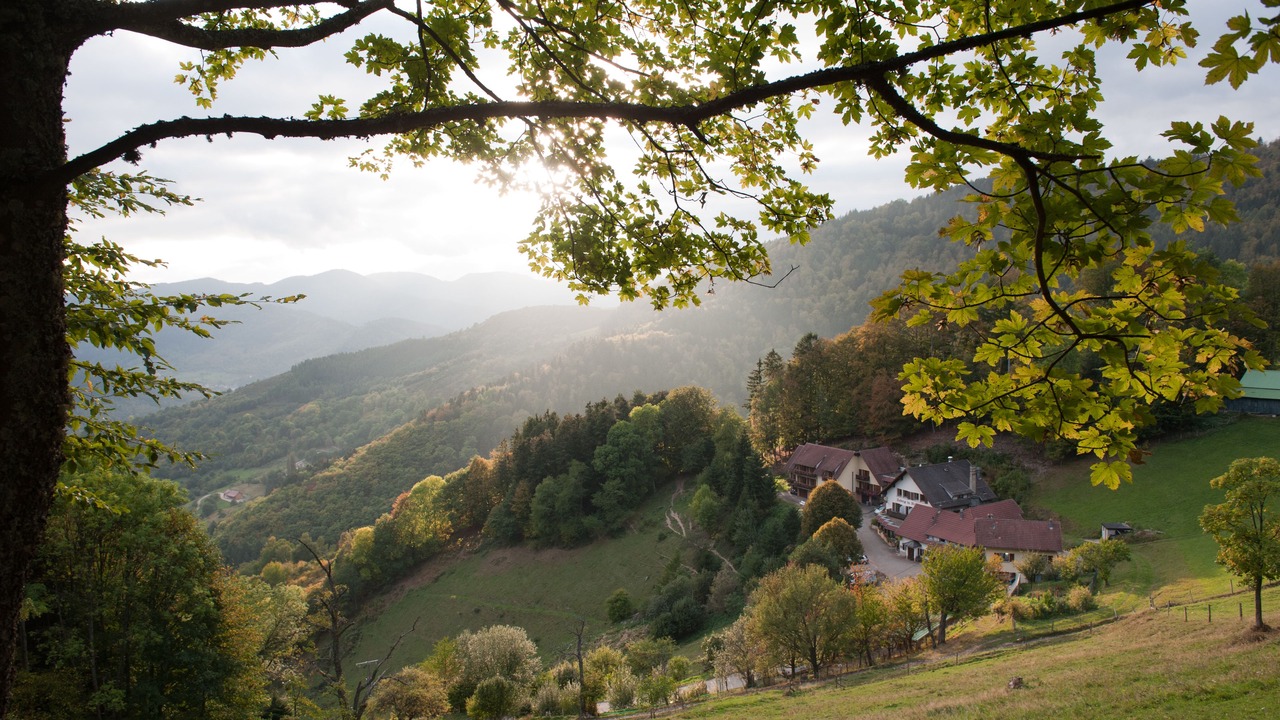Photo of Outdoor in Saint-Amarin