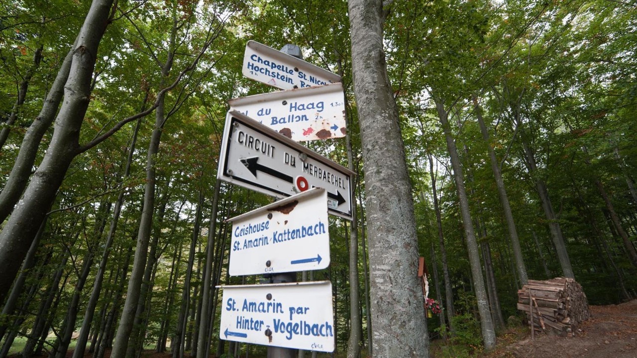 Photo of Outdoor in Saint-Amarin