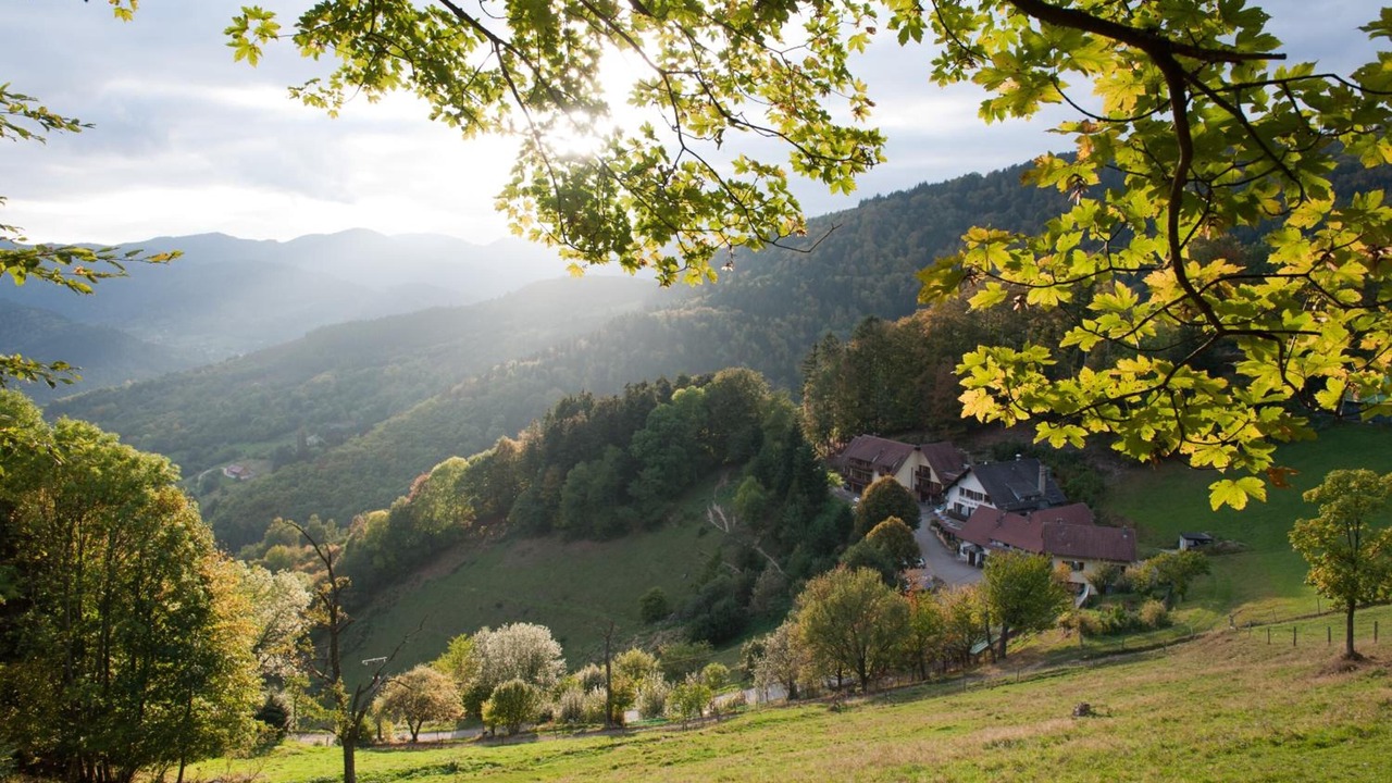 Photo of Outdoor in Saint-Amarin