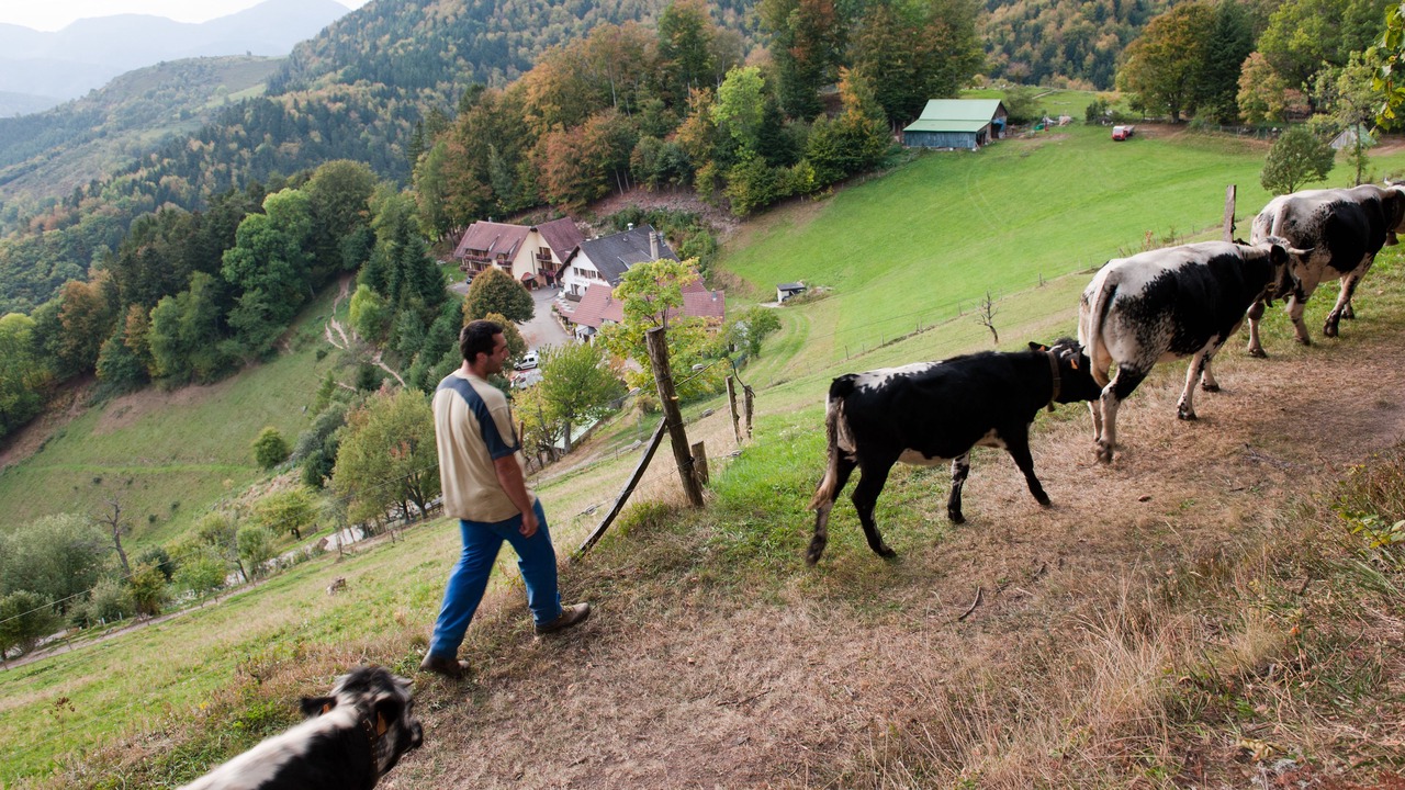 Photo of Outdoor in Saint-Amarin