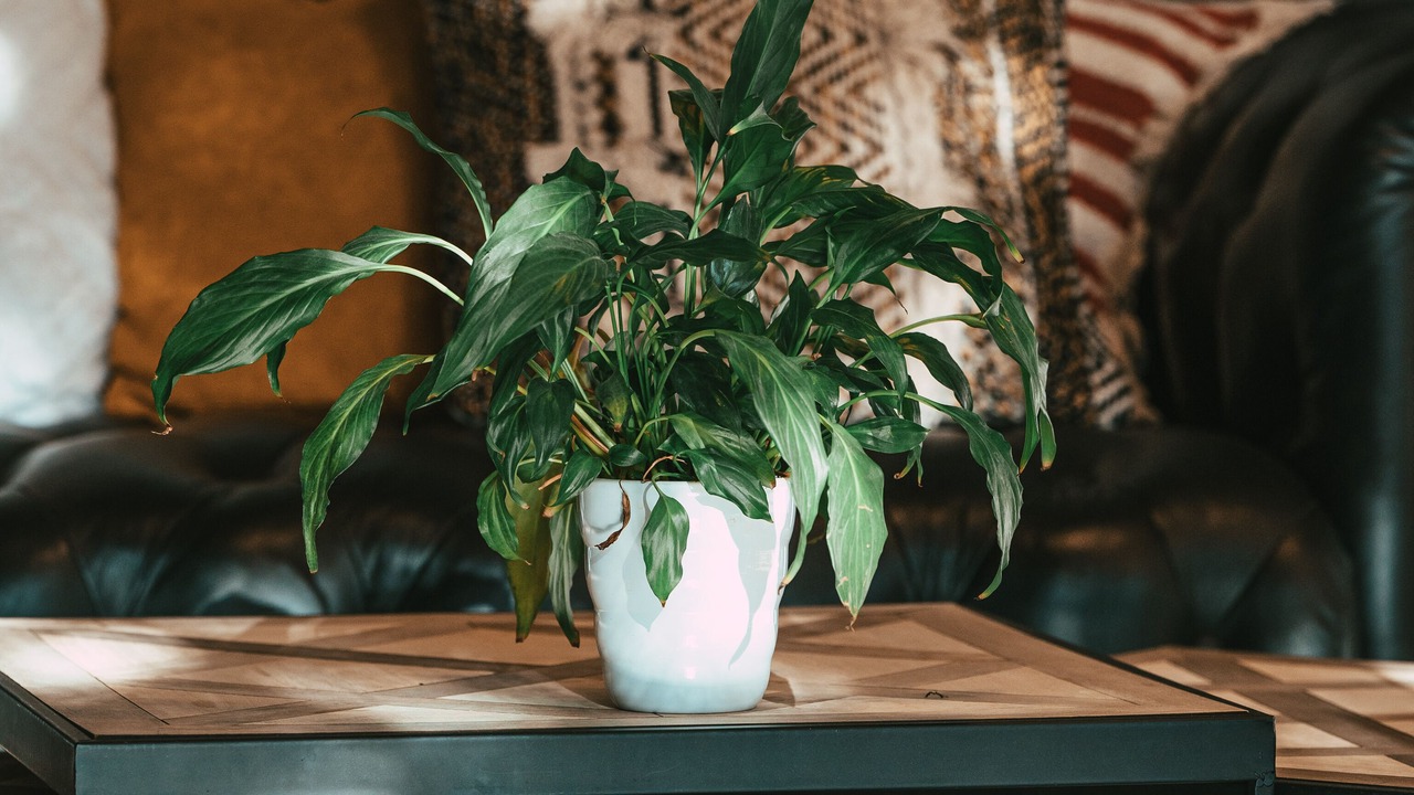 Photo of Others in Onet-le-Chateau