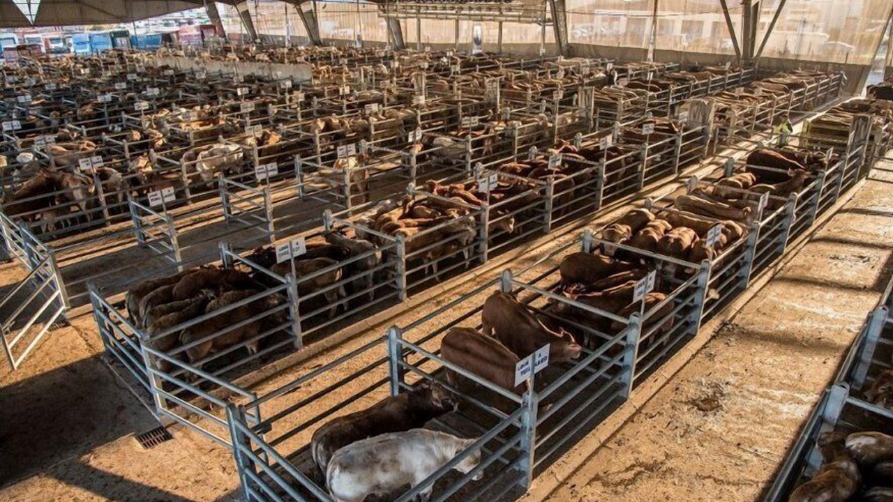 Photo of Others in Onet-le-Chateau