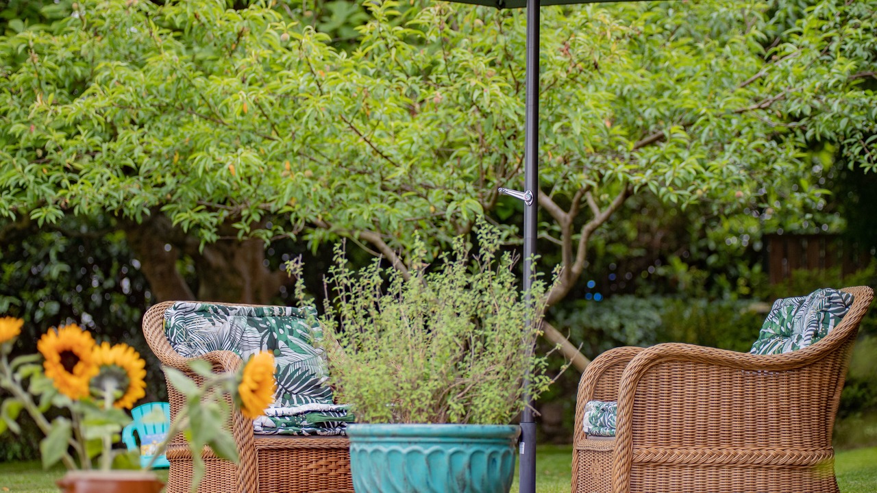 Photo of Outdoor in Cambo-les-Bains