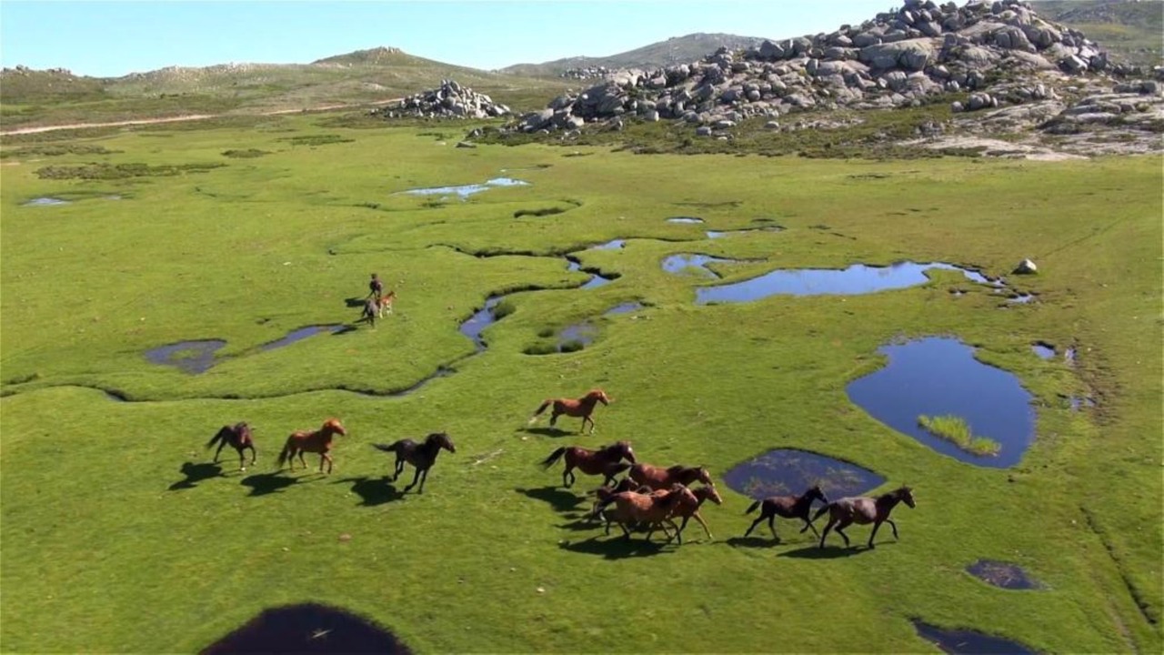 Photo of Others in Quenza