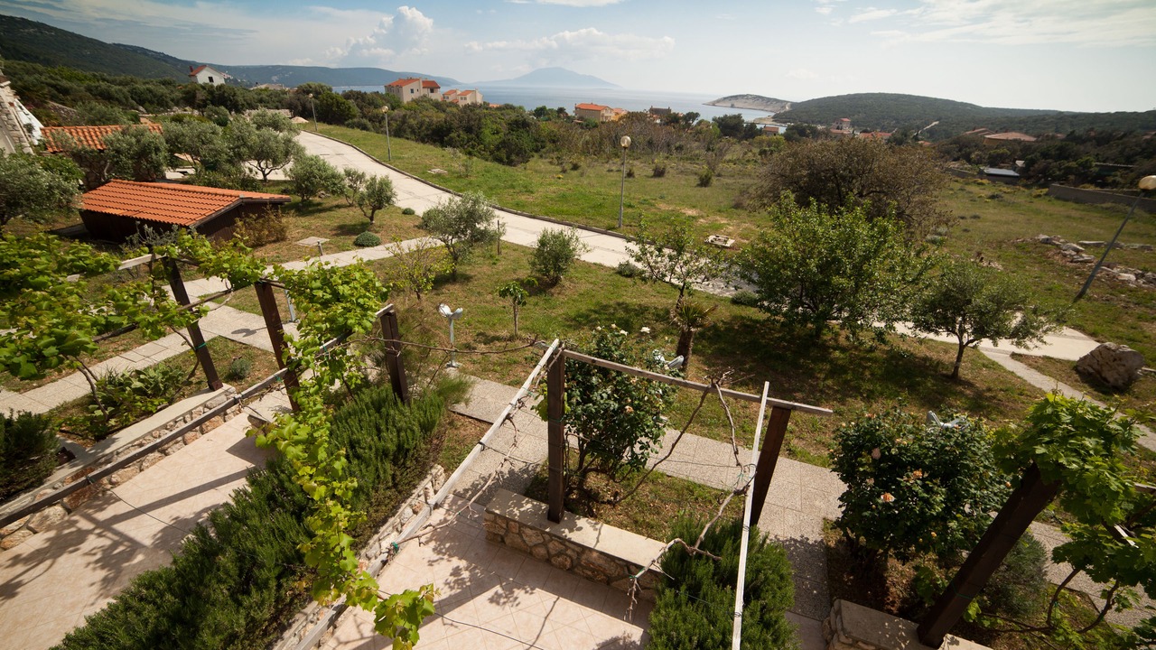 Photo of Others in Martinscica