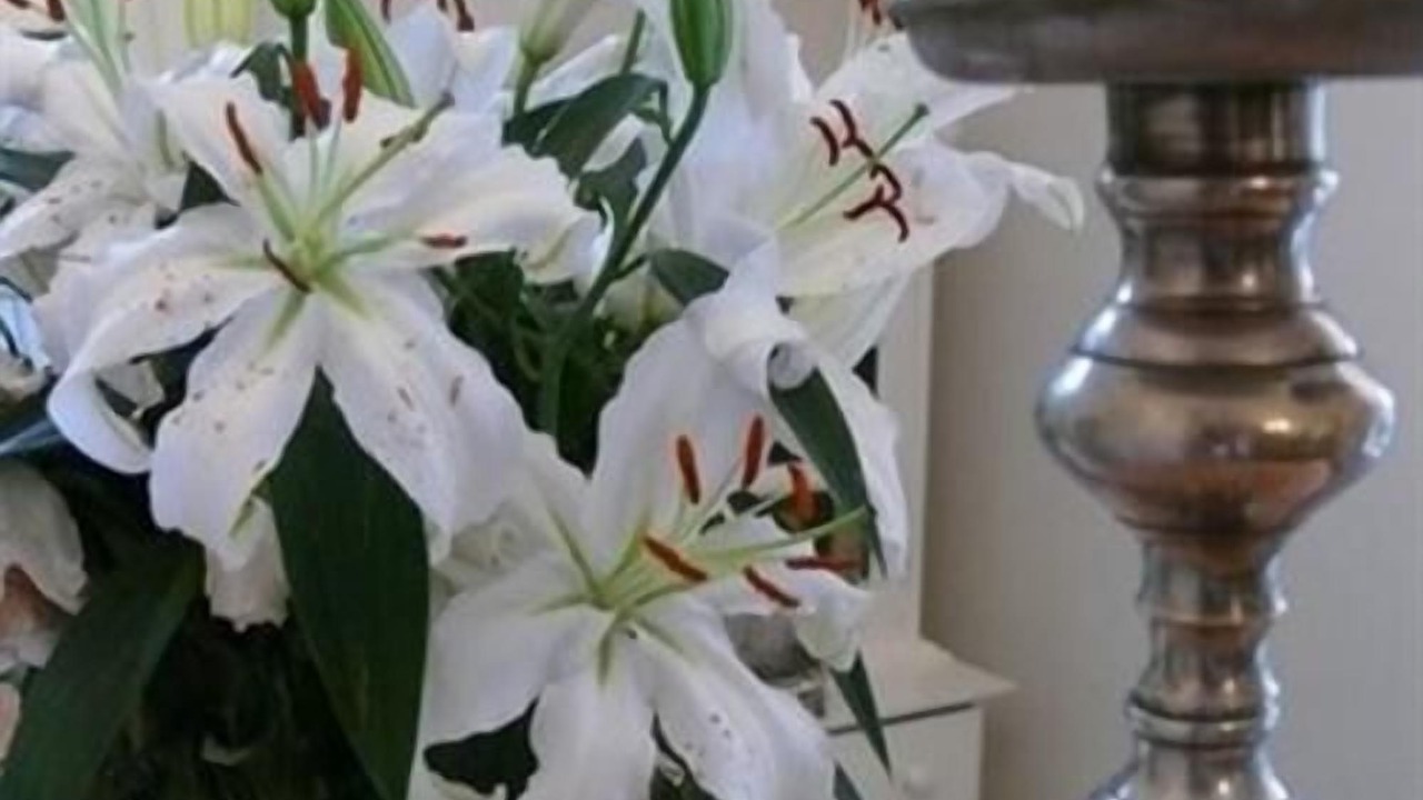 Photo of Others in Poole