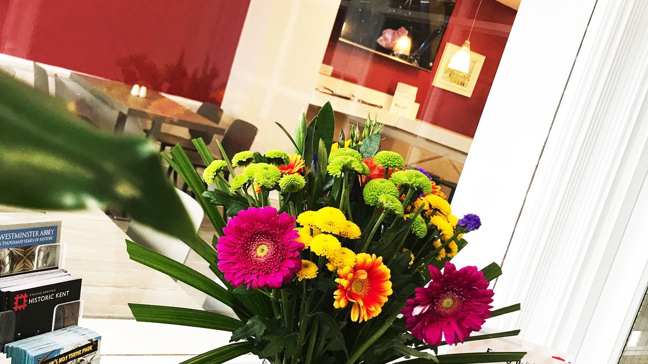 Photo of Others in Pettits