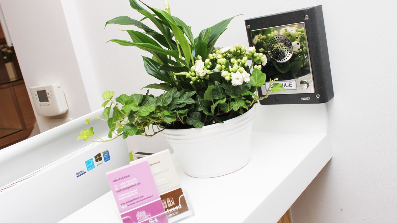 Photo of Others in Pettits