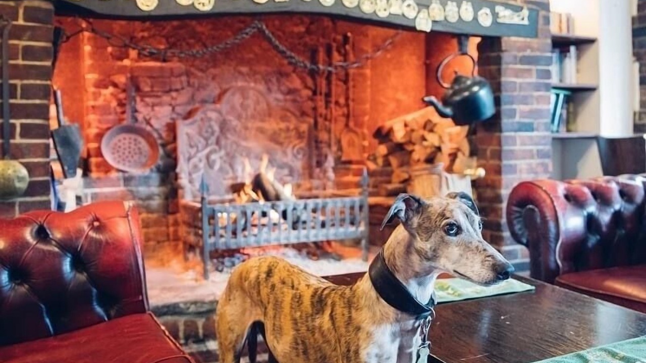 Photo of Others in Liss