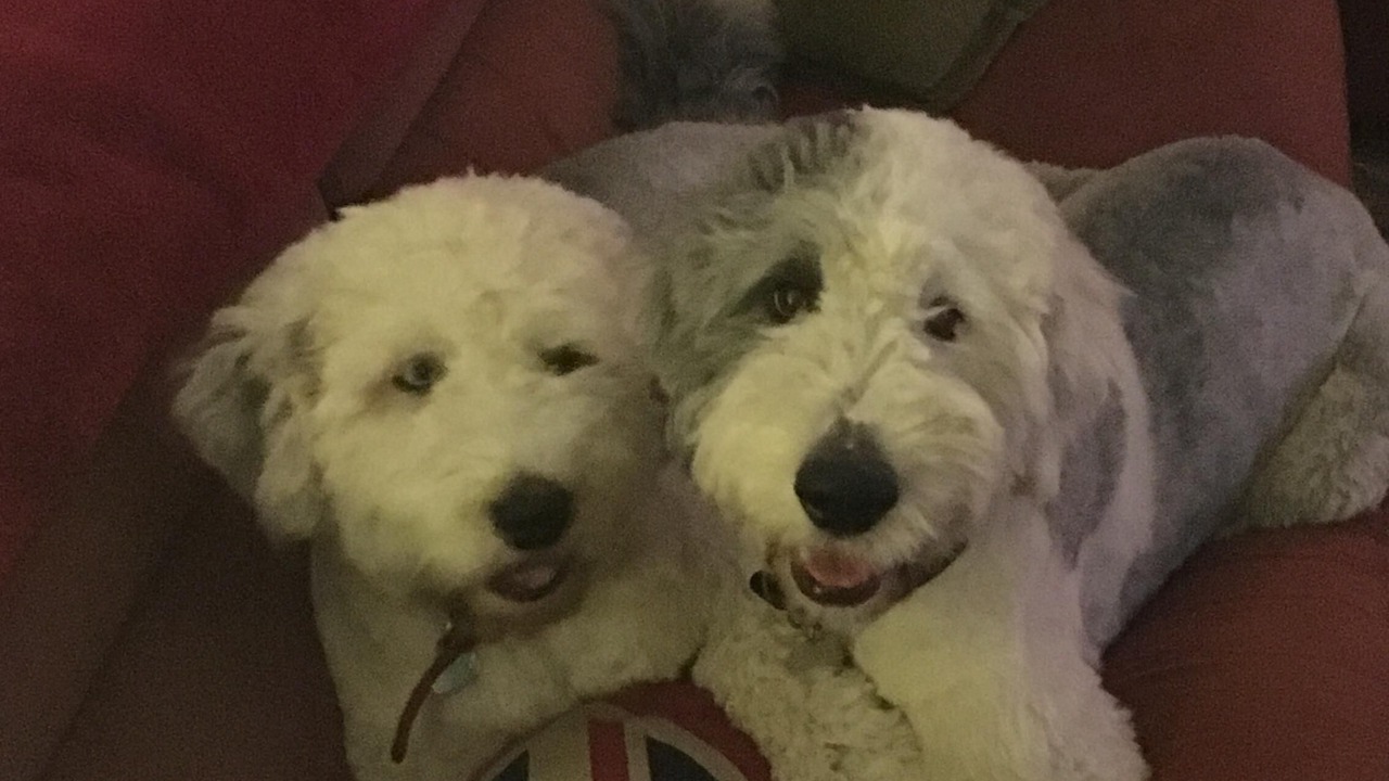 Photo of Others in Middlemarsh