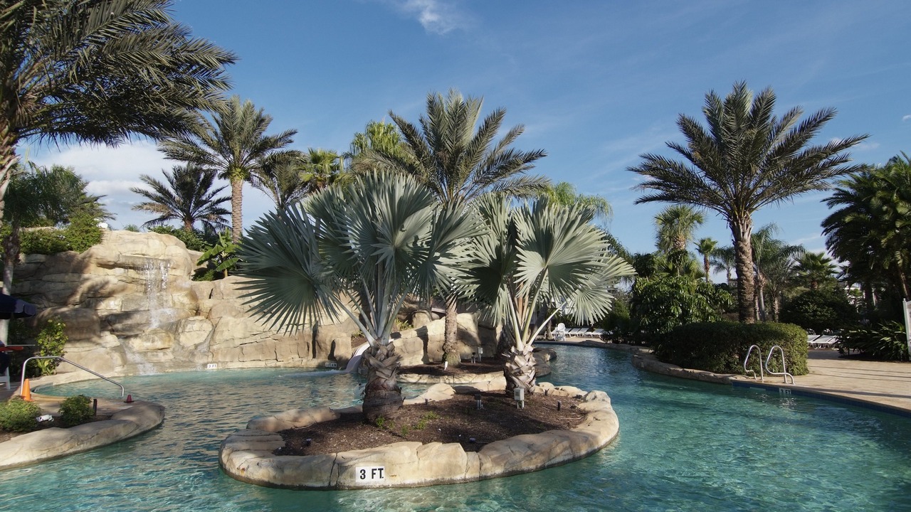 Photo of Outdoor in Reunion