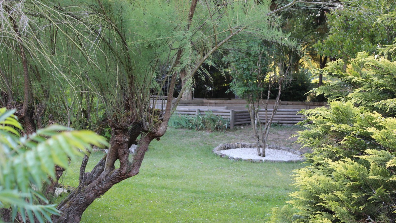 Photo of Outdoor in Montussan