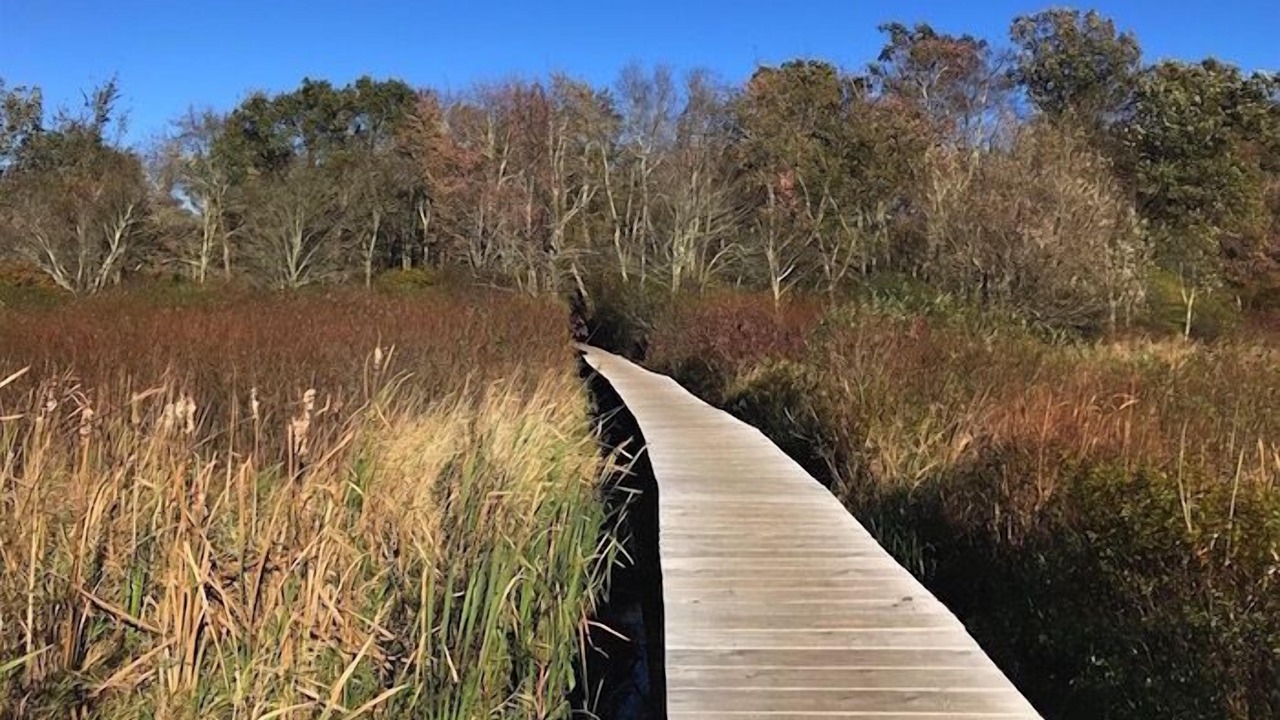 Photo of Others in Litchfield